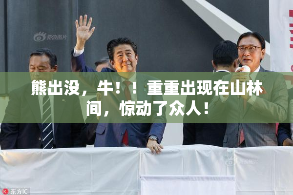 熊出没，牛！！重重出现在山林间，惊动了众人！