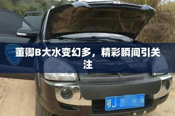 董卿B大水变幻多，精彩瞬间引关注