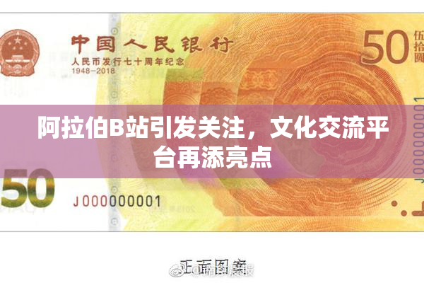 阿拉伯B站引发关注，文化交流平台再添亮点
