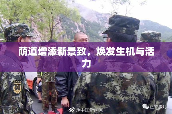 荫道增添新景致，焕发生机与活力