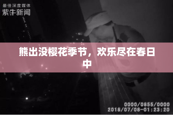 熊出没樱花季节，欢乐尽在春日中