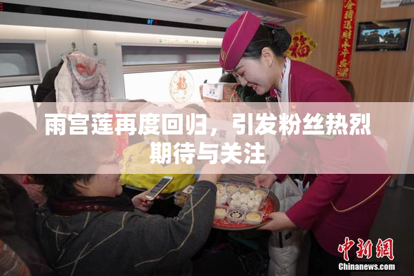 雨宫莲再度回归，引发粉丝热烈期待与关注