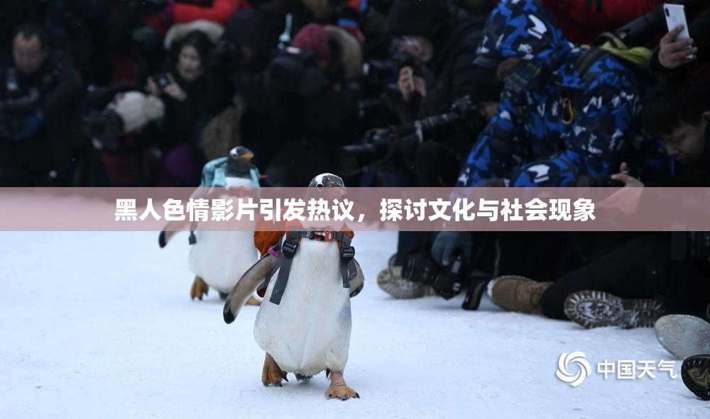 黑人色情影片引发热议，探讨文化与社会现象