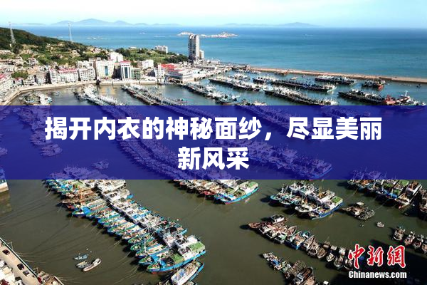 揭开内衣的神秘面纱，尽显美丽新风采