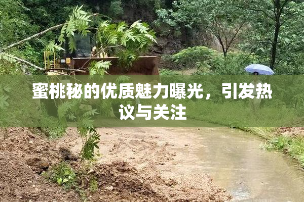 蜜桃秘的优质魅力曝光，引发热议与关注