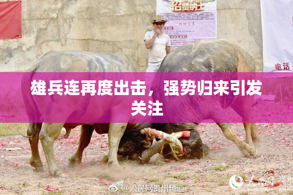雄兵连再度出击，强势归来引发关注