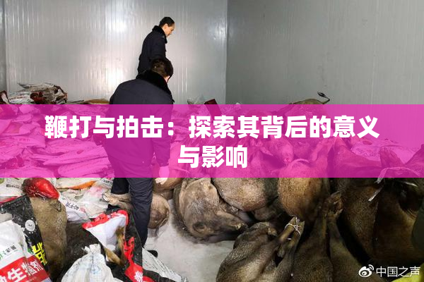 鞭打与拍击：探索其背后的意义与影响