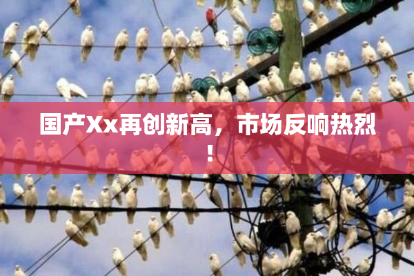 国产Xx再创新高，市场反响热烈！