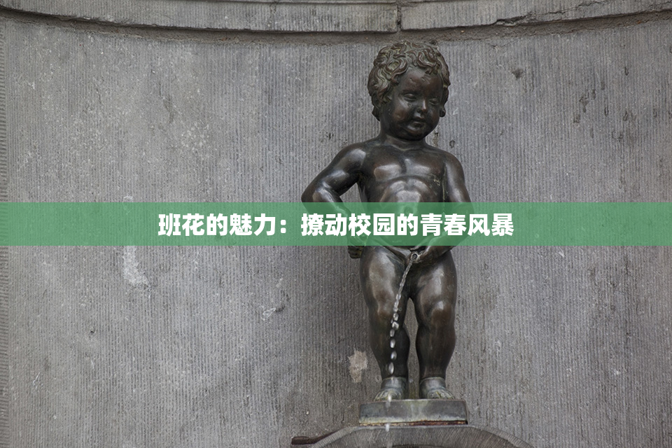 班花的魅力：撩动校园的青春风暴