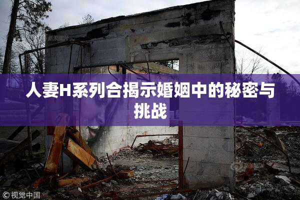 人妻H系列合揭示婚姻中的秘密与挑战