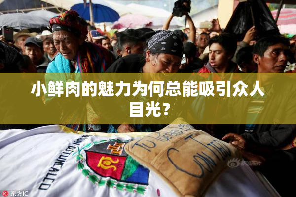 小鲜肉的魅力为何总能吸引众人目光？