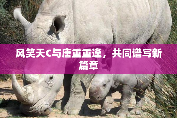 风笑天C与唐重重逢，共同谱写新篇章