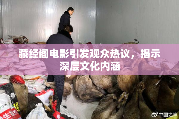 藏经阁电影引发观众热议，揭示深层文化内涵