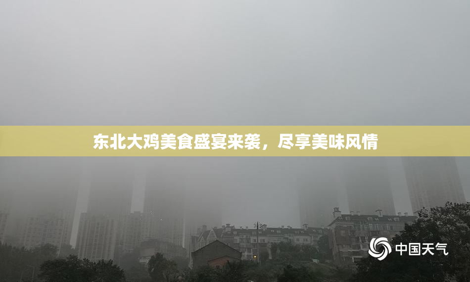东北大鸡美食盛宴来袭，尽享美味风情