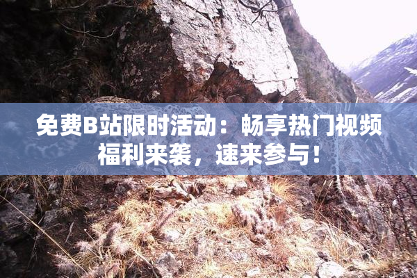 免费B站限时活动：畅享热门视频福利来袭，速来参与！