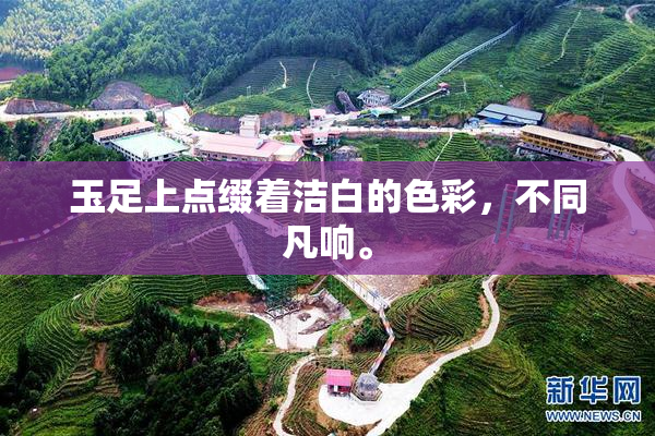 玉足上点缀着洁白的色彩，不同凡响。