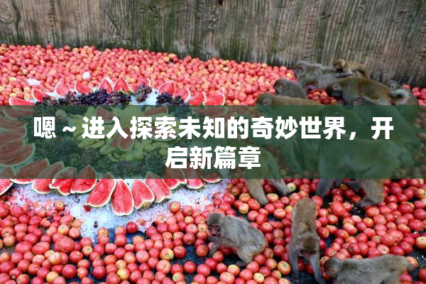嗯～进入探索未知的奇妙世界，开启新篇章
