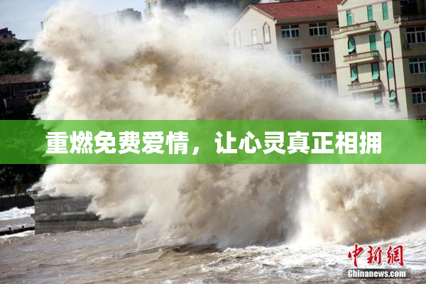 重燃免费爱情，让心灵真正相拥