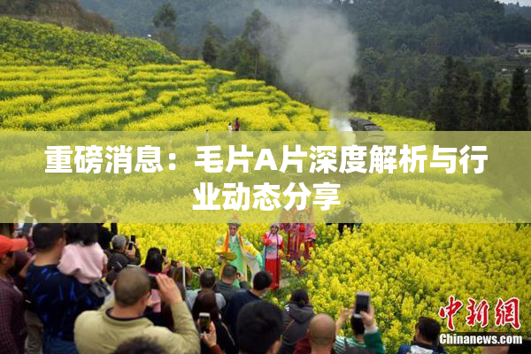 重磅消息：毛片A片深度解析与行业动态分享
