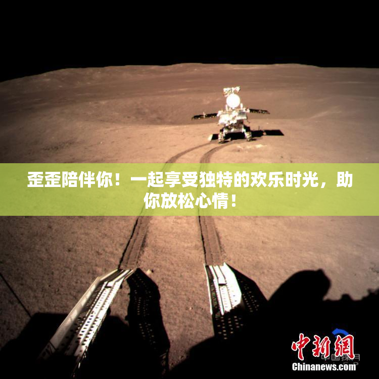 歪歪陪伴你！一起享受独特的欢乐时光，助你放松心情！