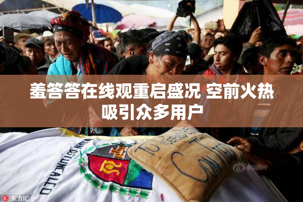 羞答答在线观重启盛况 空前火热吸引众多用户