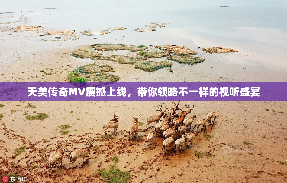天美传奇MV震撼上线，带你领略不一样的视听盛宴
