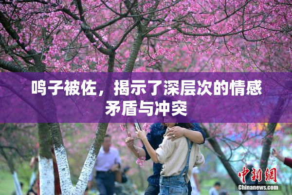 鸣子被佐，揭示了深层次的情感矛盾与冲突