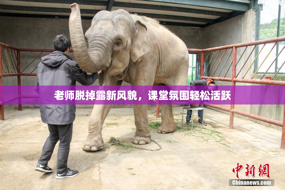 老师脱掉露新风貌，课堂氛围轻松活跃