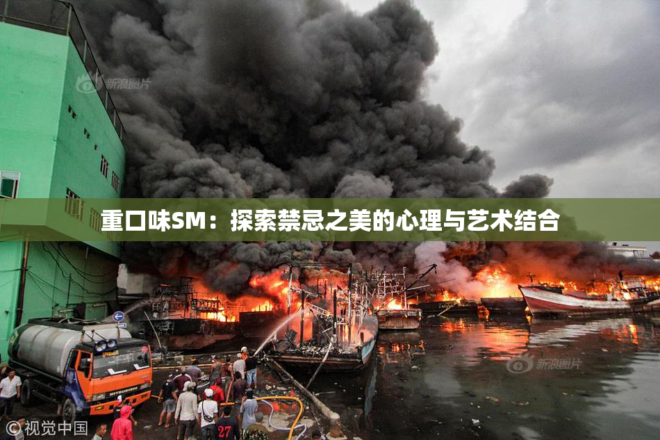 重口味SM：探索禁忌之美的心理与艺术结合