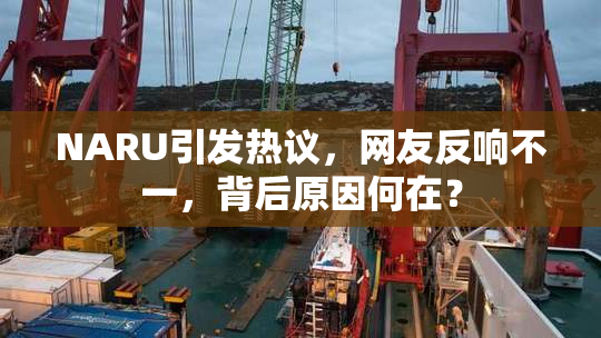 NARU引发热议，网友反响不一，背后原因何在？