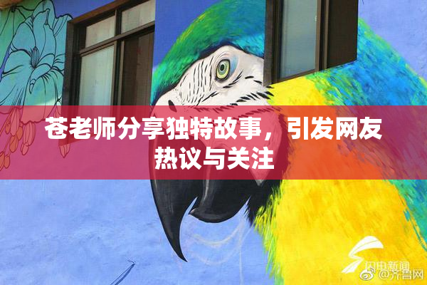 苍老师分享独特故事，引发网友热议与关注