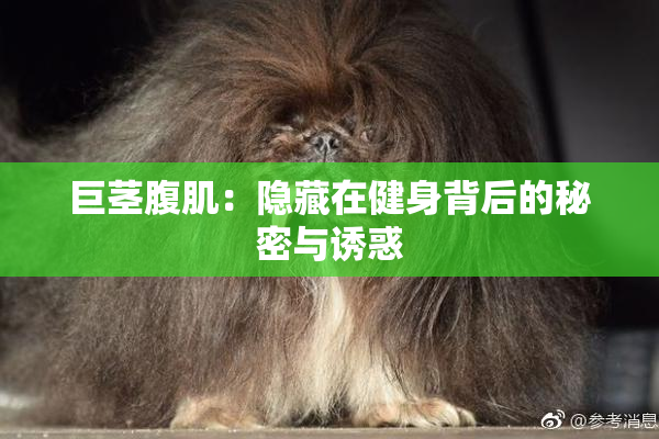 巨茎腹肌：隐藏在健身背后的秘密与诱惑