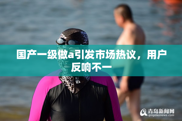 国产一级做a引发市场热议，用户反响不一
