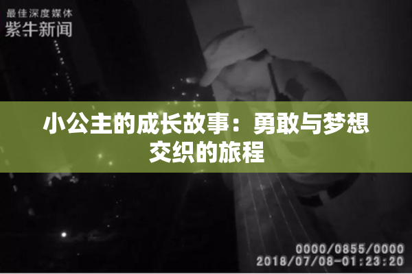 小公主的成长故事：勇敢与梦想交织的旅程