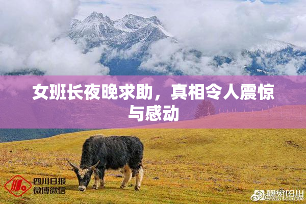 女班长夜晚求助，真相令人震惊与感动