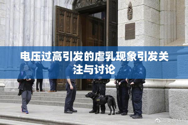 电压过高引发的虐乳现象引发关注与讨论