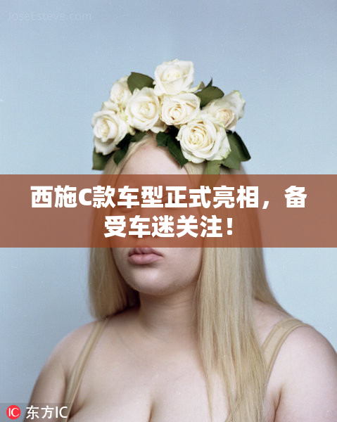 西施C款车型正式亮相，备受车迷关注！