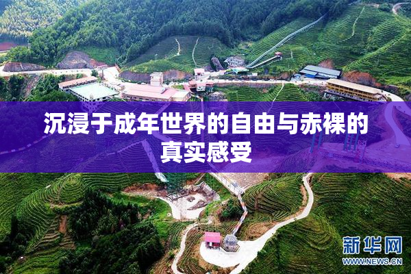 沉浸于成年世界的自由与赤裸的真实感受