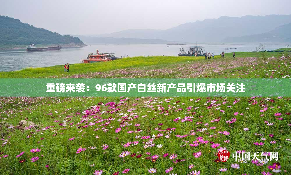重磅来袭：96款国产白丝新产品引爆市场关注