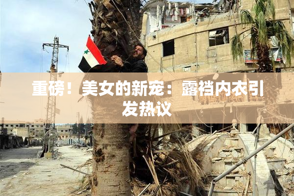 重磅！美女的新宠：露裆内衣引发热议
