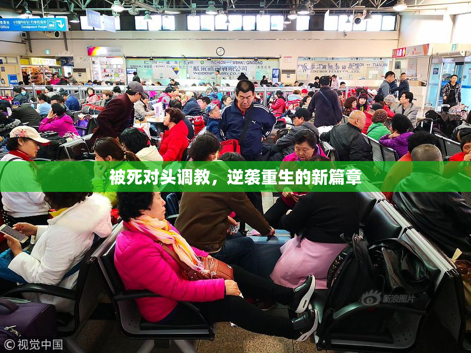 被死对头调教，逆袭重生的新篇章
