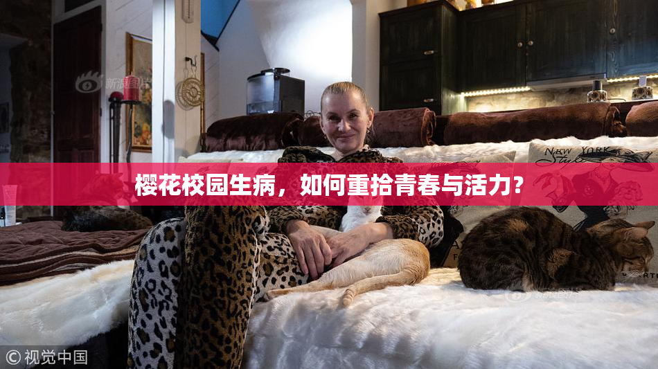 樱花校园生病，如何重拾青春与活力？