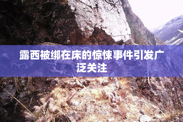 露西被绑在床的惊悚事件引发广泛关注